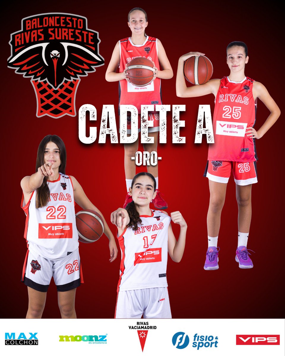 Baloncesto Rivas Sureste tweet media