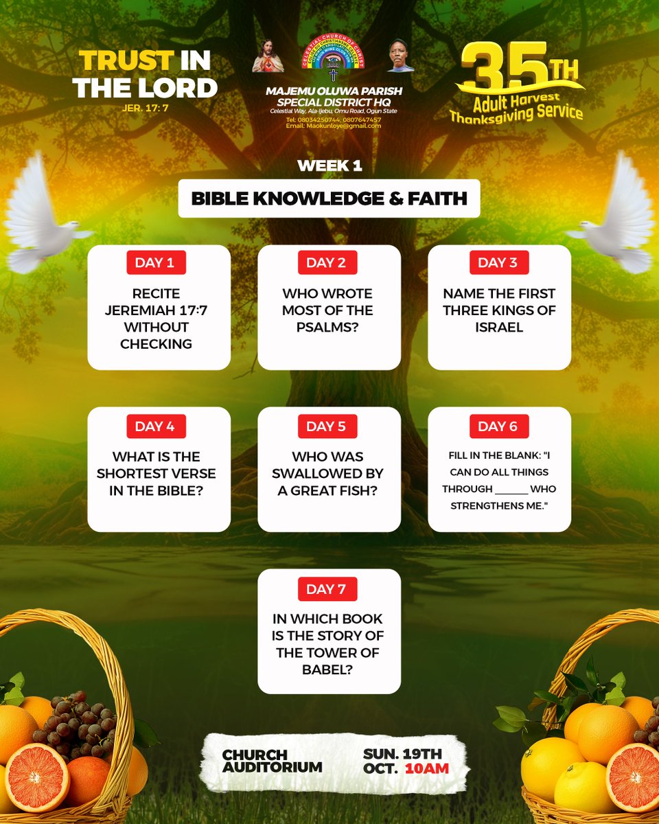 Happy Friday 🎊🎊