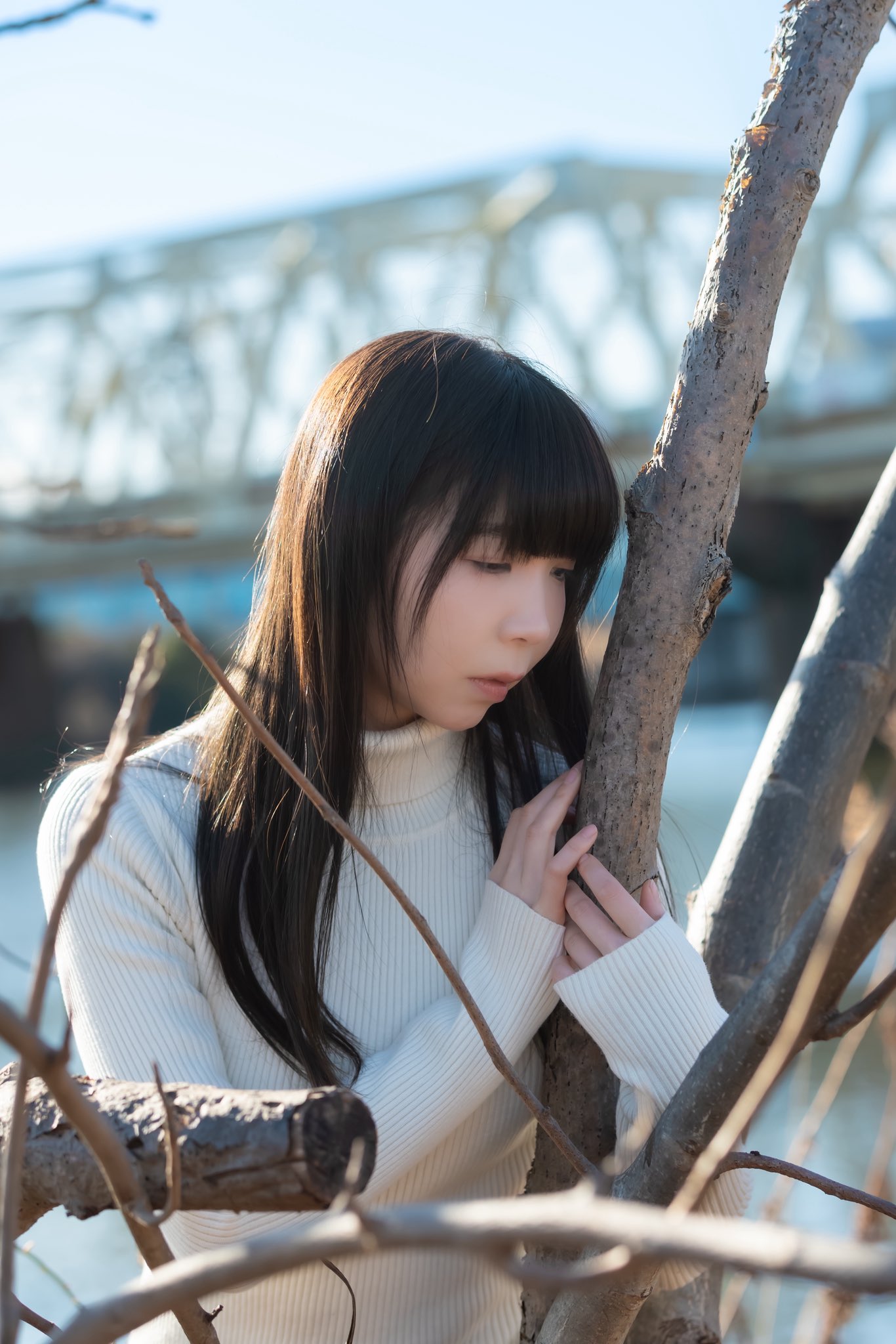 11月22日から24日 - Search / X