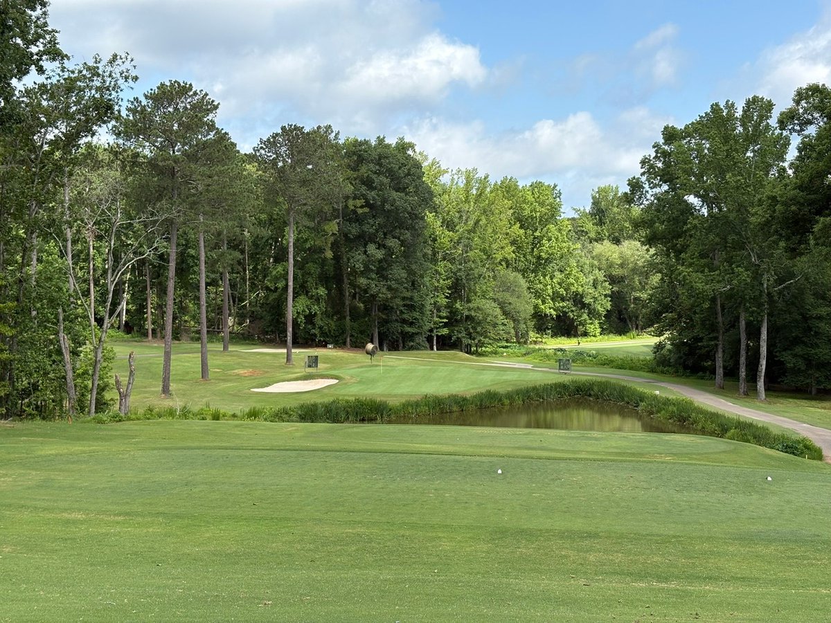 UGAGolfCourse's tweet image. ✨Happy Flashback Friday✨ Take a look at #16 — even with a cart path, this sneaky, short par 3 is just as likely to wreck your scorecard as it is to trick you into thinking a hole-in-one is coming.