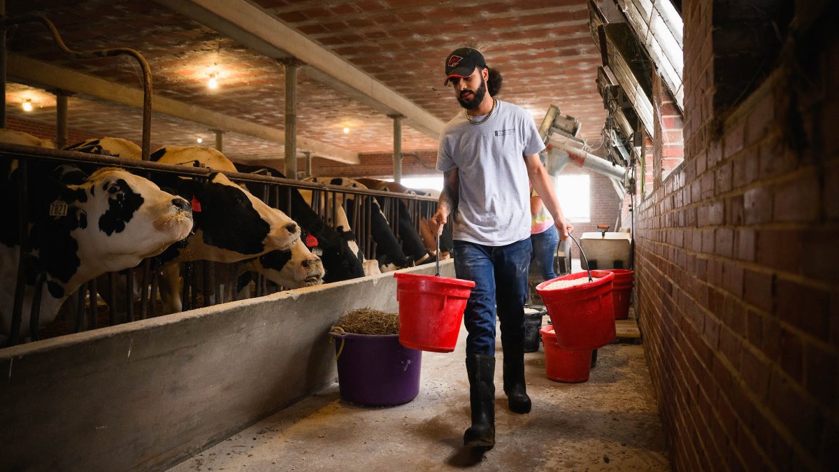 Vet student Joseph Richardson is the son and grandson of trail-blazing doctors who spent decades serving his rural Hertford County #NC community. Richardson is planning to care for people, too — by caring for their animals. The question is which ones?
ncst.at/oq5850WZnWI