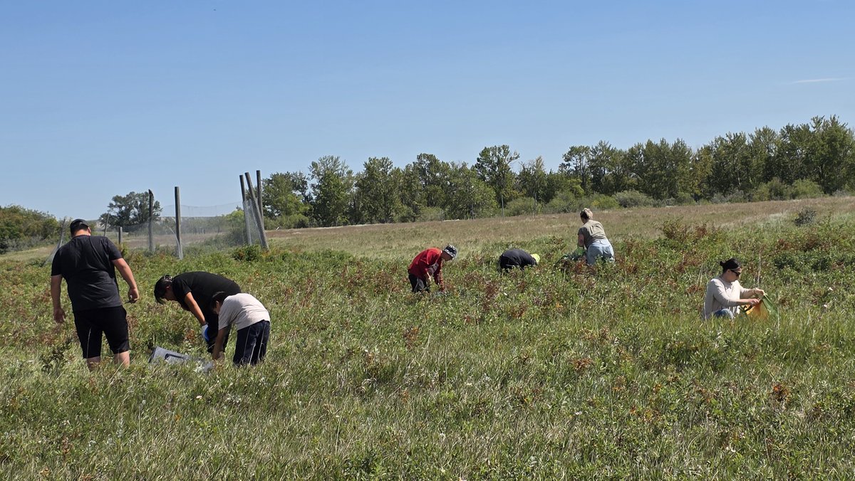 Calgary John Howard Society tweet media