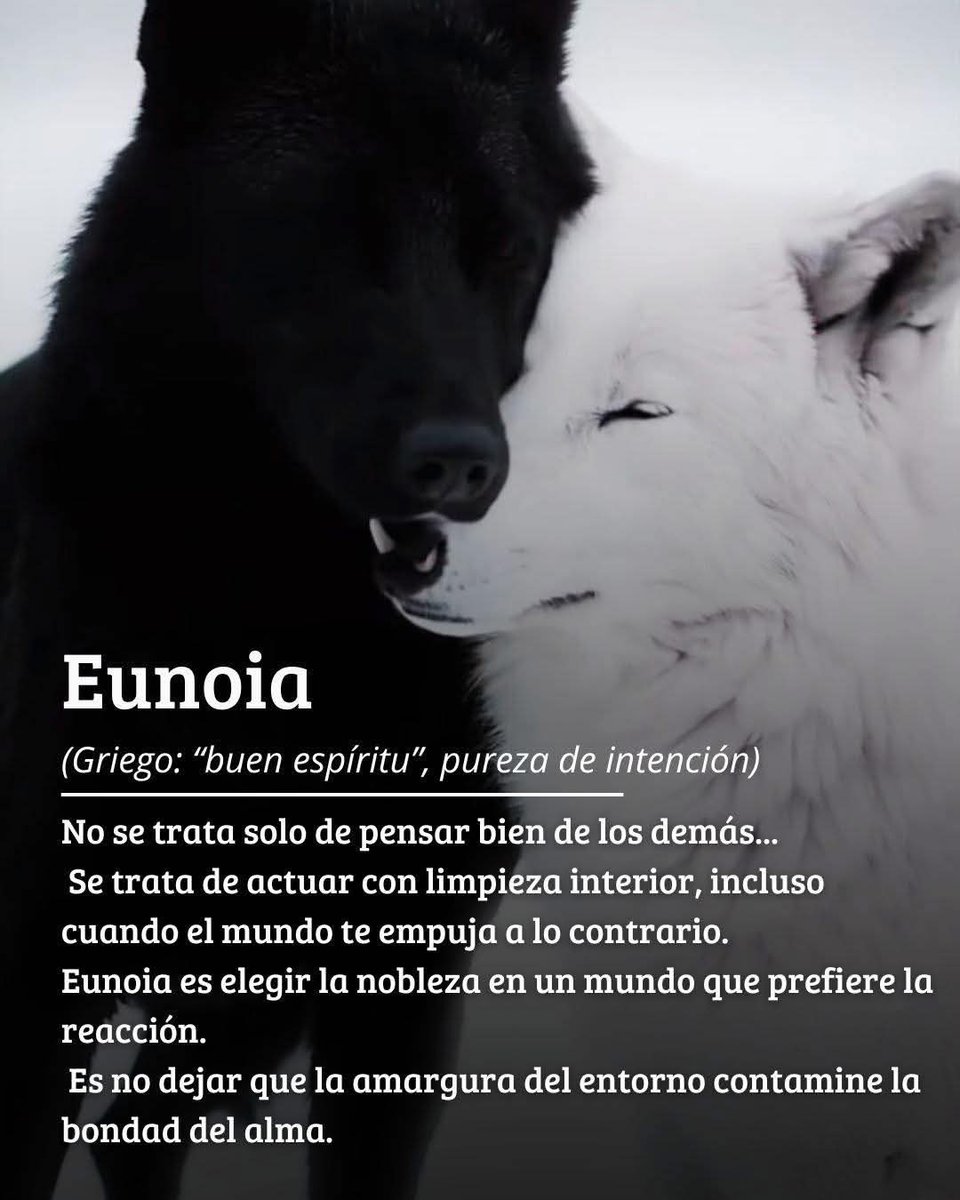 Marco Aurelio enfrentaba a un general que había traicionado la confianza del imperio y causado la pérdida de miles de soldados.

Su primer impulso fue ordenar la ejecución inmediata. Su ira pedía justicia rápida y brutal.🤍 "No se trata solo de pensar bien de los demás..."
Pero