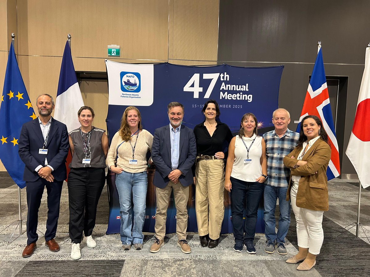 Industrias Pesqueras tweet media