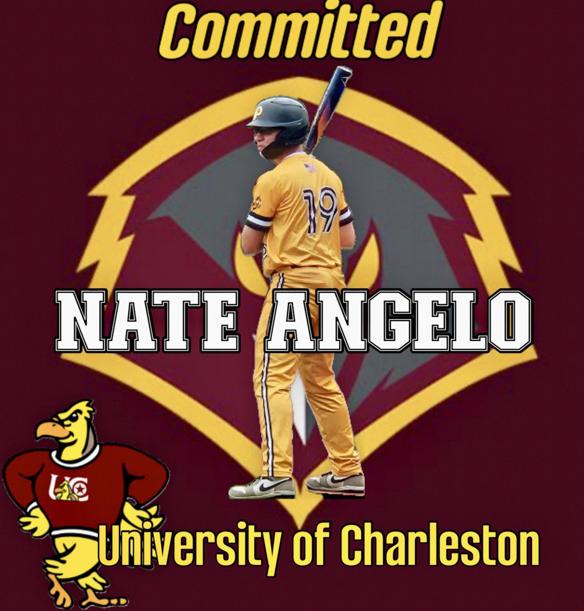 PITTSBURGH DIAMOND DAWGS BASEBALL tweet media