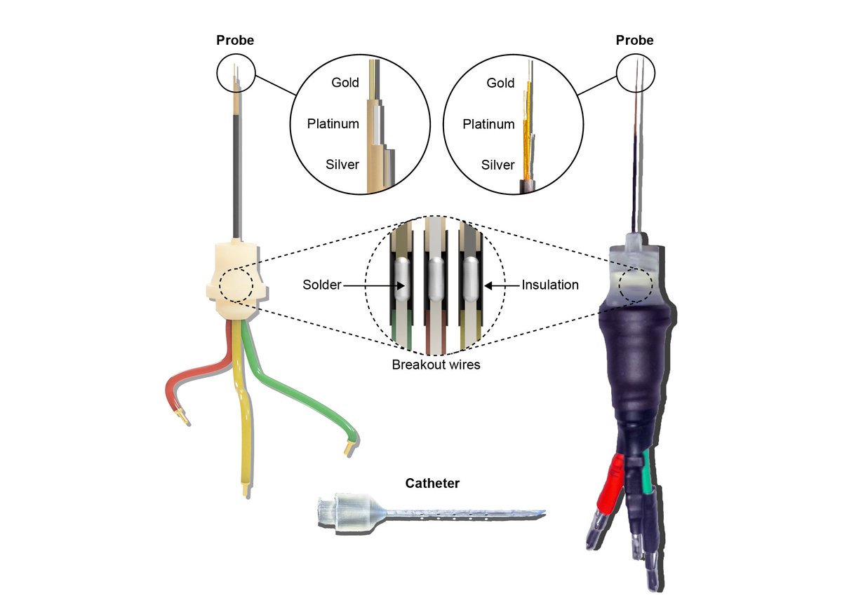 Netz Lab @ UNC | Chapel Hill tweet media