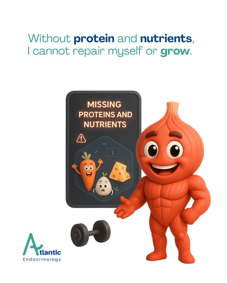 endo_pc's tweet image. 💪 Your muscles do much more than give you strength.
They allow you to move, protect your organs, and even help regulate your temperature. 🔥
Taking care of them is an investment in your health and daily energy. ✨

#Health #Wellness #StrongMuscles #TakeCareOfYourBody