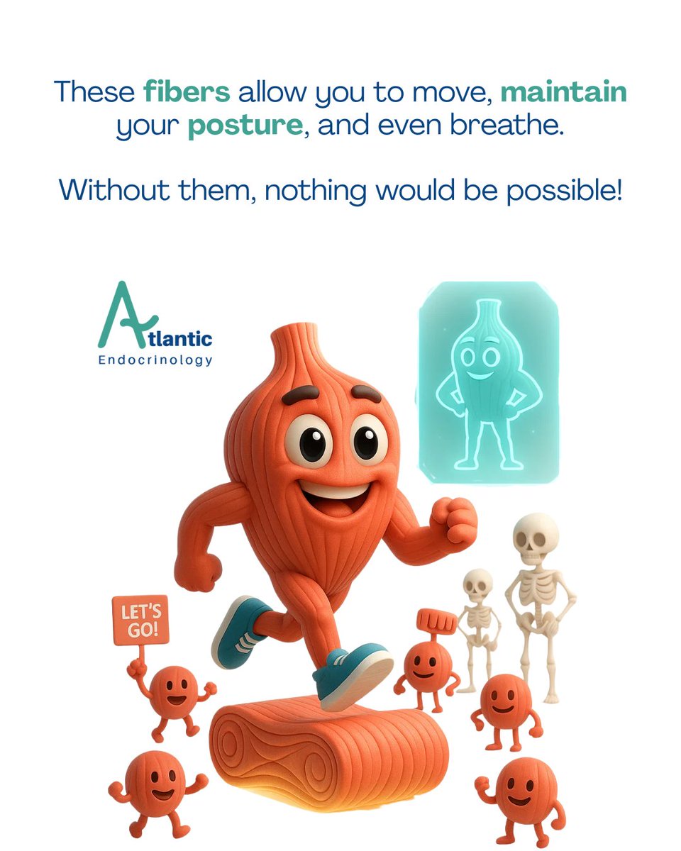 endo_pc's tweet image. 💪 Your muscles do much more than give you strength.
They allow you to move, protect your organs, and even help regulate your temperature. 🔥
Taking care of them is an investment in your health and daily energy. ✨

#Health #Wellness #StrongMuscles #TakeCareOfYourBody