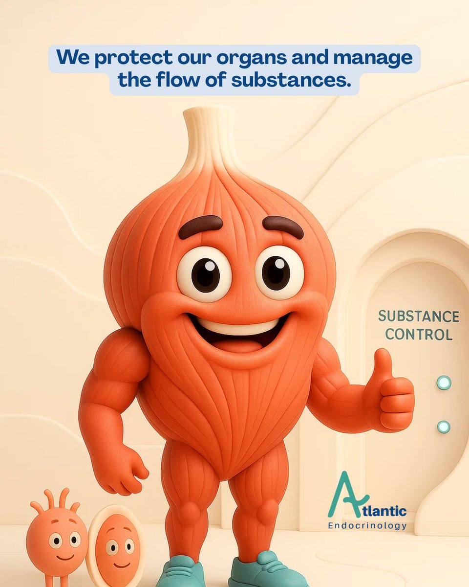 endo_pc's tweet image. 💪 Your muscles do much more than give you strength.
They allow you to move, protect your organs, and even help regulate your temperature. 🔥
Taking care of them is an investment in your health and daily energy. ✨

#Health #Wellness #StrongMuscles #TakeCareOfYourBody