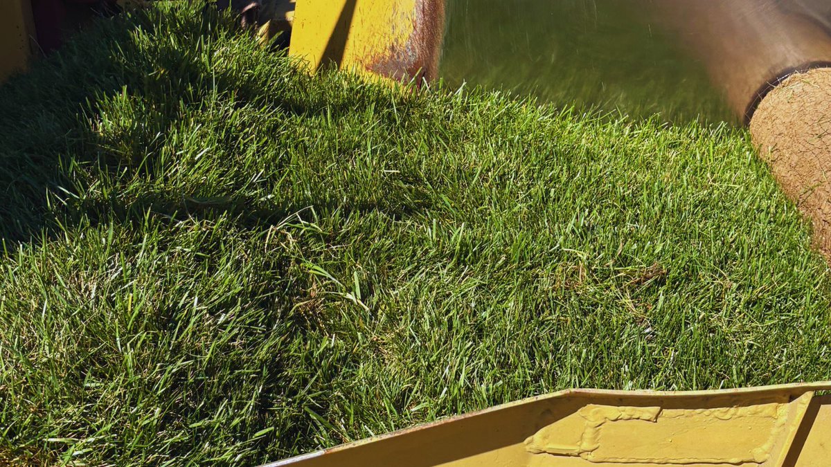 “Pure Seed’s genetics and breeding program for fescue has given us a competitive edge in our market. From fast germination to a dark green rich color that rivals bluegrass, along with hardy drought resistance, and disease resistance I can think of no other seed I will put on my