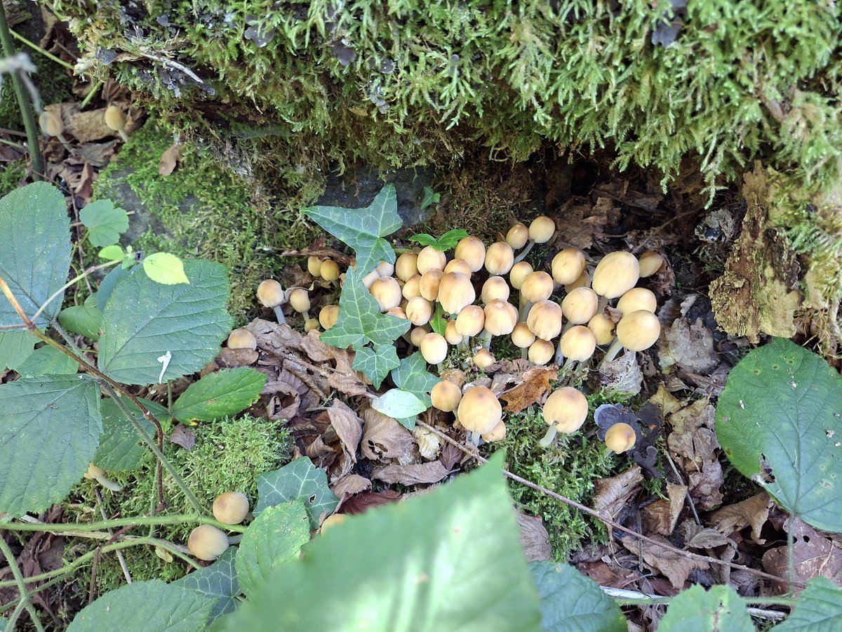 Quelques photos supplémentaires.