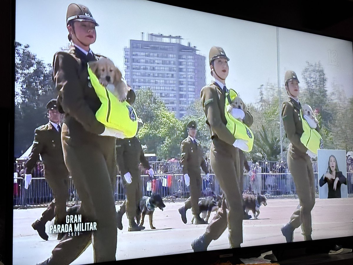 levigo97's tweet image. La serotonina anual que todo chileno necesita. #ParadaMilitar2025