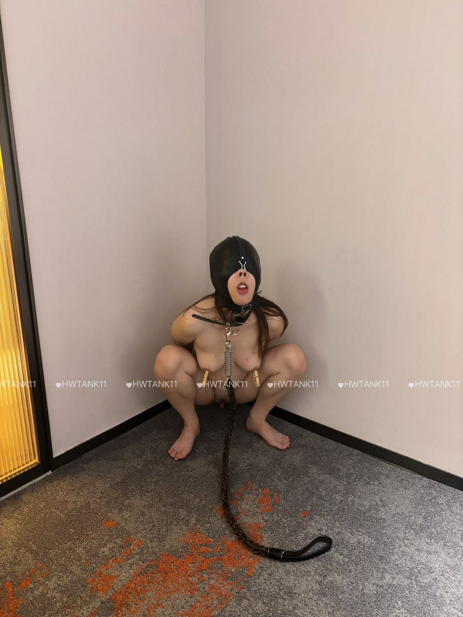 我家狗呢 tweet media