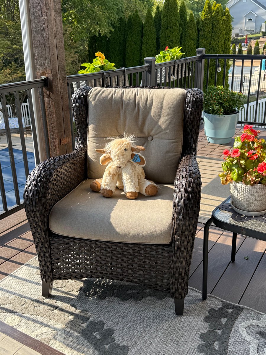 OscarMOOvement's tweet photo. ✨Big News from the Oscar's #MOOvement...

Oscar's very first limited edition doll has made it to his new home 🐮🩷

Each one of these are handmade, one-of-a-kind, and carries the same message Oscar shares in his book: be true to yourself even if you're a little different--that's what makes you special.

This is #1 of our exclusive collection, already loved and cherished in his new family.  Each doll is numbered and crafted with care-- making them just as unique as the story they represent.

We couldn't be more excited to see Oscar spreading kindness, joy, and the reminder that being YOU is always enough. 🌟

Find out how to get your piece of the #MOOvement...