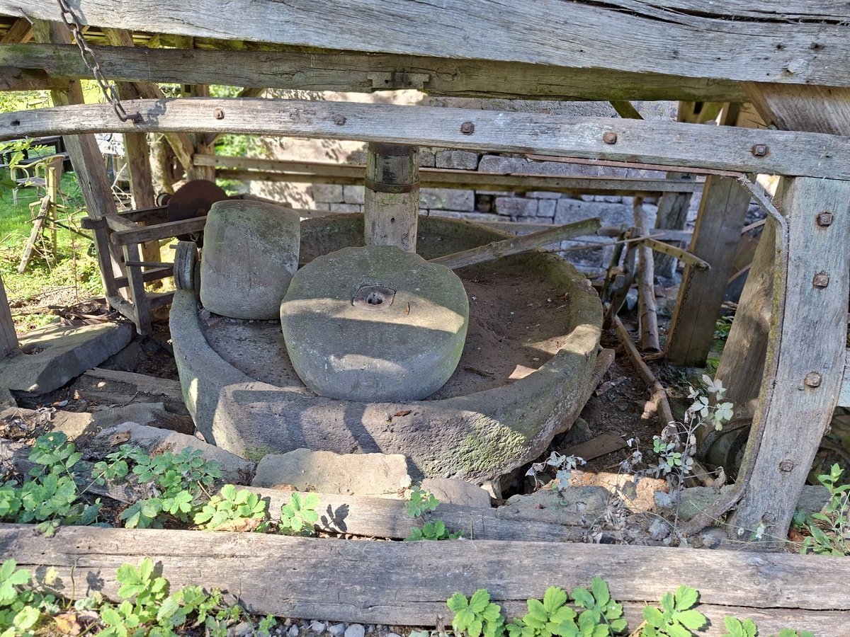 Ecole du Chanois. Journée cohésion au plateau des mille étangs. Les 3 valeurs de l'école: persévérance, fraternité et respect à l'honneur. Découverte d'un milieu vallonné. Dispositif EMILE tout au long du parcours. Magnifique journée.