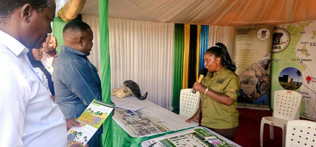 Mercy Exson tweet media