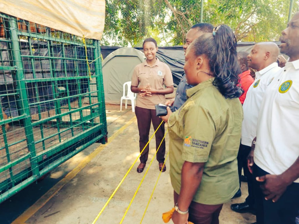 Mercy Exson tweet media