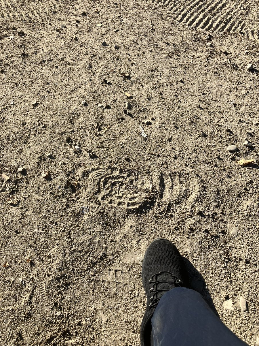 Esta semana en consulta he vuelto a enfrentarme a la necesidad de nuestra sociedad de una pedagogía del sufrimiento inherente a la vida.

El sistema sanitario lo convierte en patología y no lo es.

Es otra cosa.