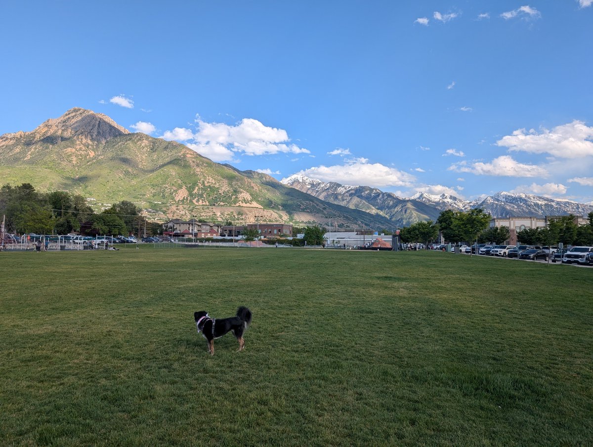 The University of Utah political science department is hiring a junior comparativist this cycle, ideally with a focus on Asia and a desire and willingness to teach grad/undergrad stats classes. I'm not on the search, but am very happy to talk to anyone interested in the job.