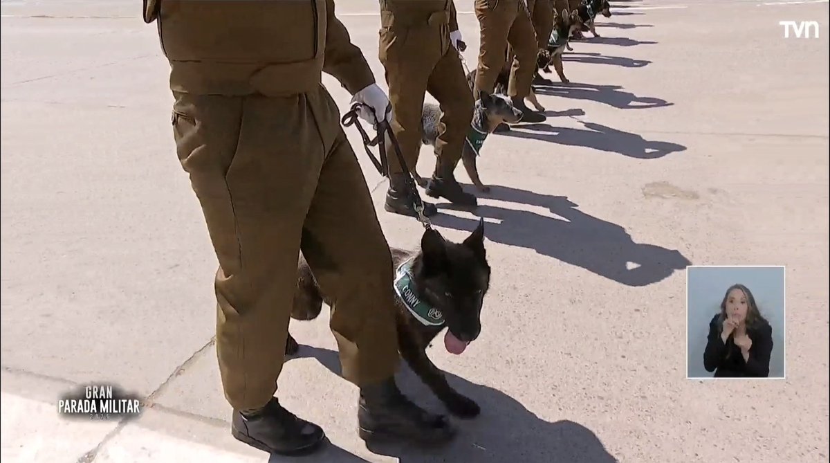 Lo más esperado y no pienso discutirlo con nadie. 🐕
#ParadaMilitar2025
