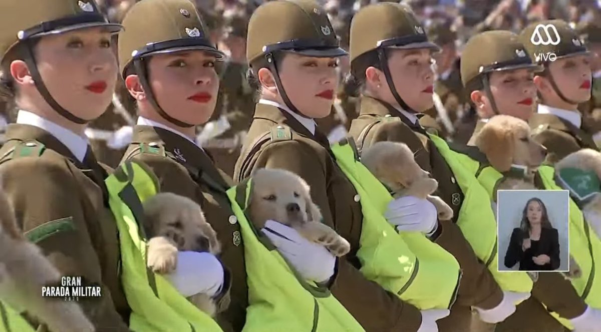 xriisi's tweet photo. Y el momento más esperado de la parada militar 2025, los perritos! 😍 https://t.co/pDX9b9X79a
