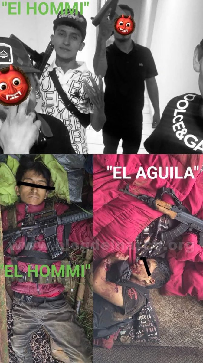 Blog del Narco México tweet media