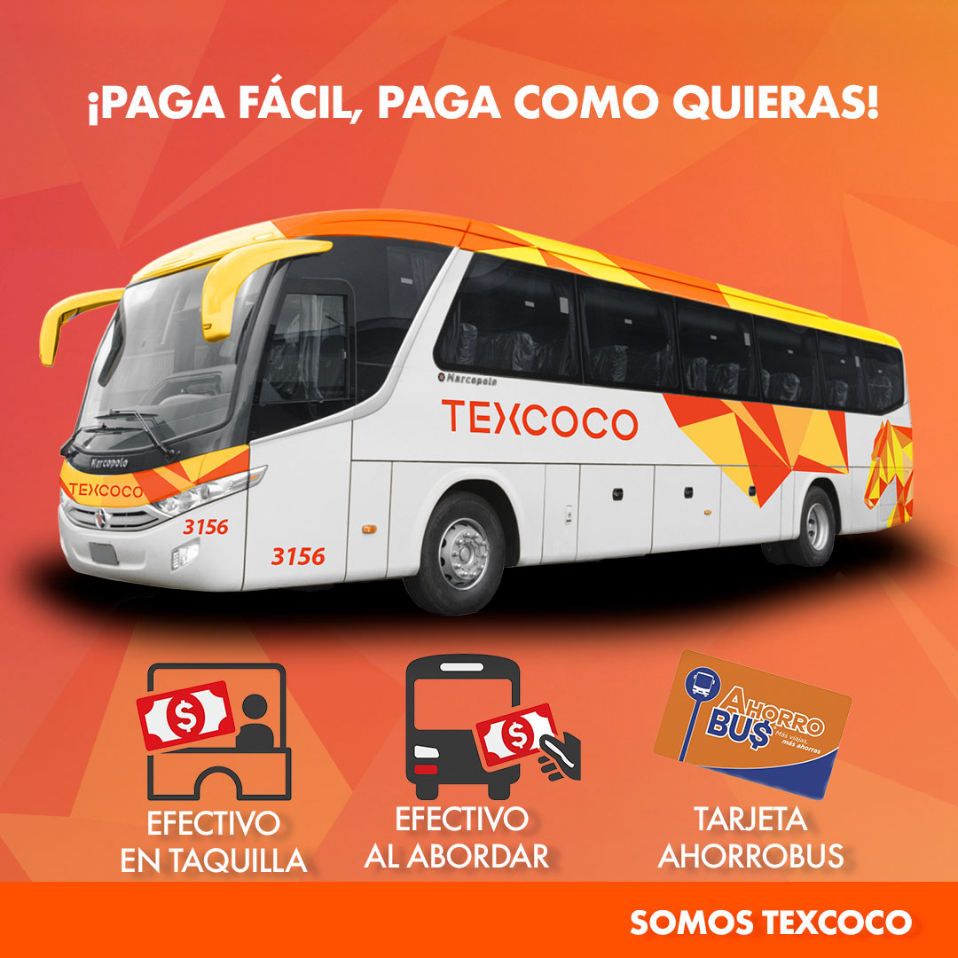 ¿Sabías que con Texcoco Intermedio puedes pagar en taquilla o con tu tarjeta AhorroBus? 😄 ¡Viajar se vuelve más fácil cada día! 🎟️

¡Haz que tus viajes diarios sean más cómodos! 🚍✨
#TexcocoParaTi #BeneficiosTexcoco