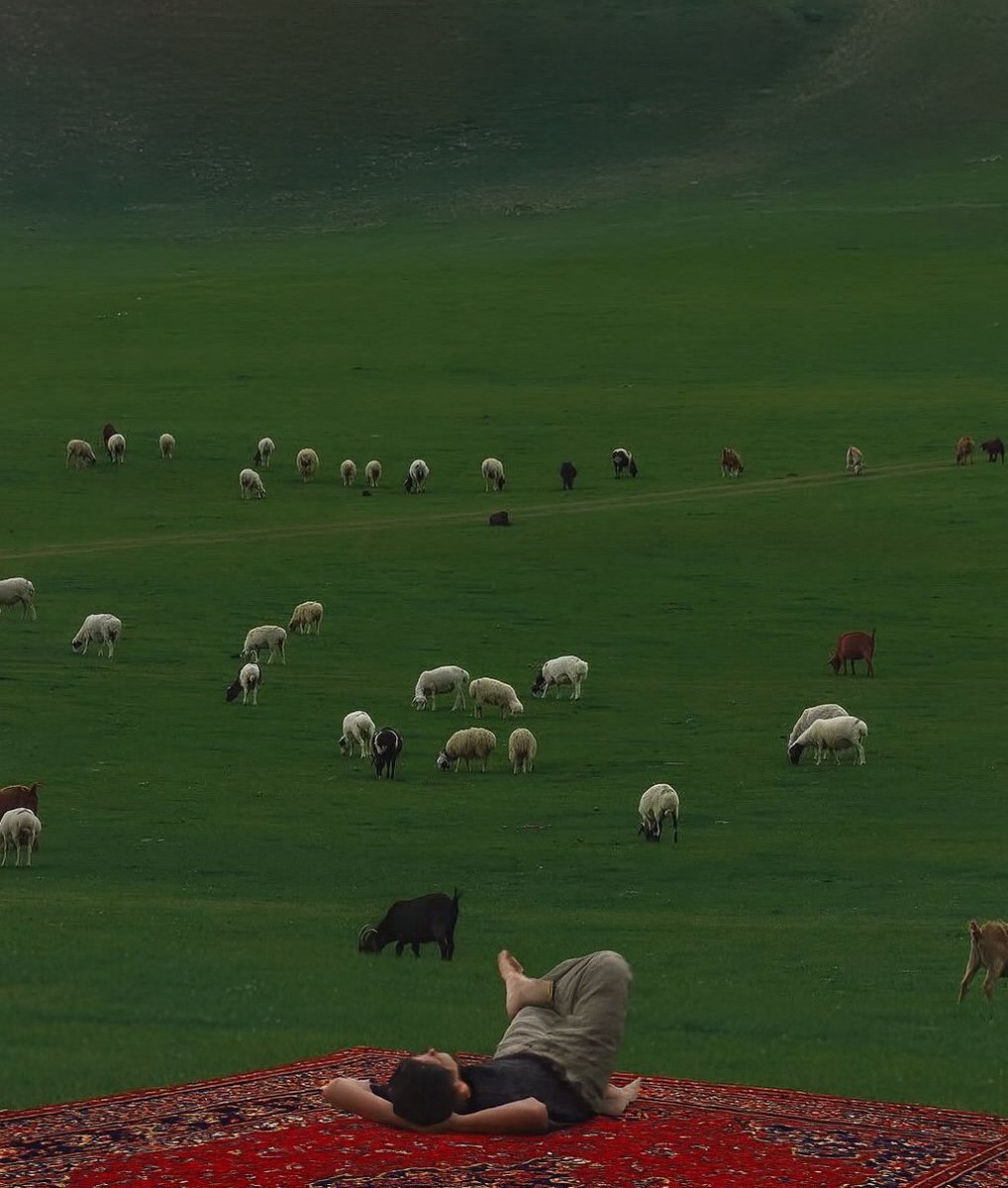 "عِش راضيًا ومسامحًا ونَبيلا 
واتــرُك حديثًا لـلرواةِ جَـميـلا"