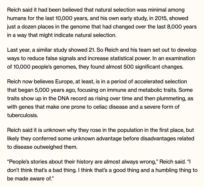 Paul Graham tweet media