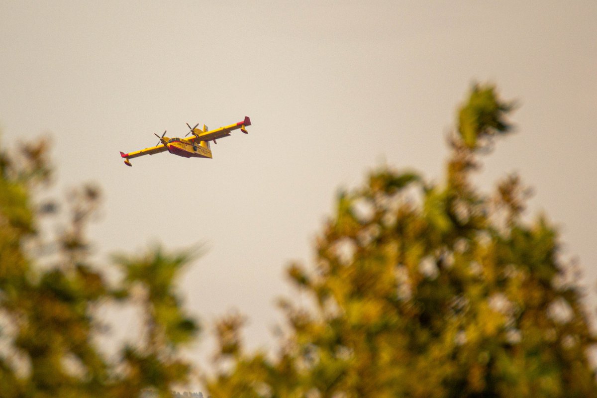 Catro Canadair toda a tarde en noria cargando no Miño e descargando no #IFPombeiroPantón