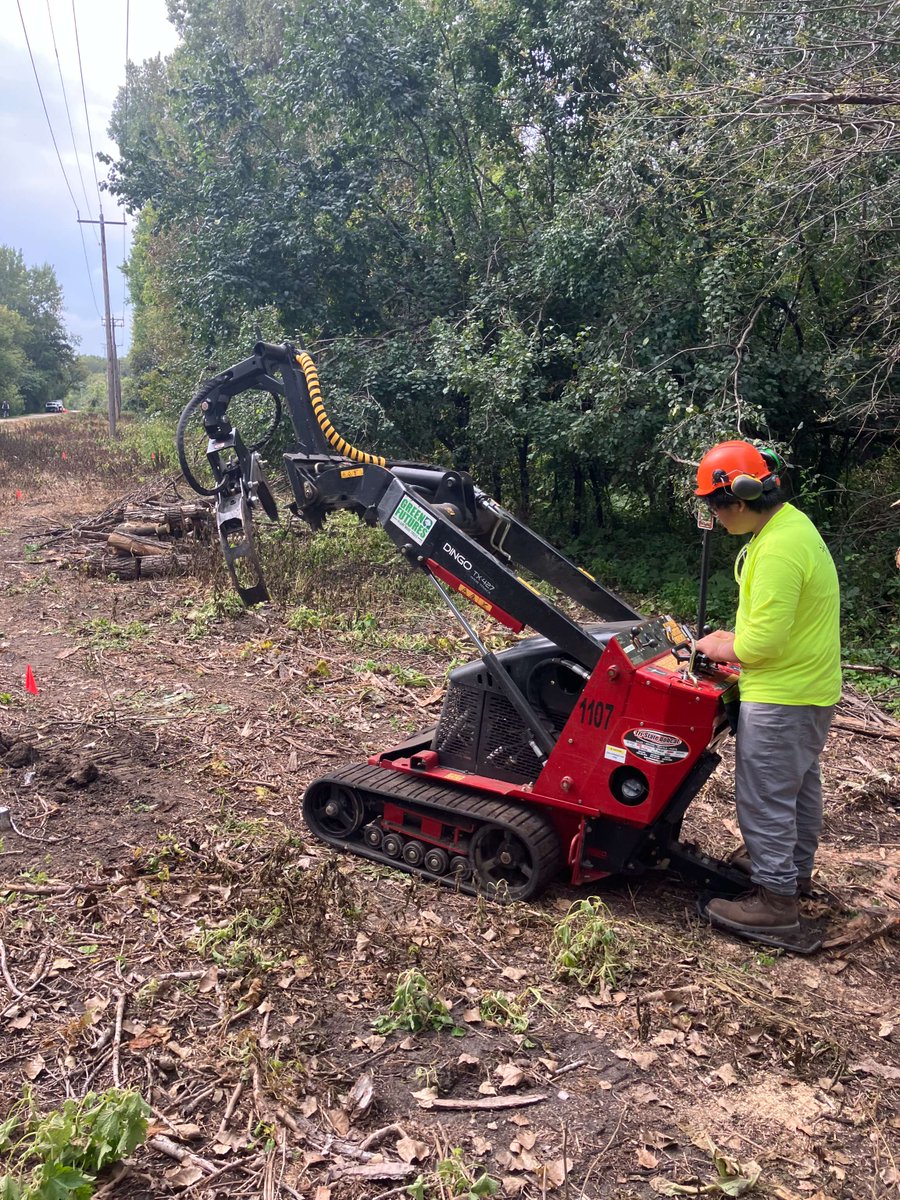 TreeTrust's tweet image. Hopkins trails are looking brighter thanks to our Branches crew! 🌳 With dead trees cleared and new skills in the works (hello, Toro Dingo! 🚜), they’re maintaining thriving green spaces for everyone to enjoy. 💚