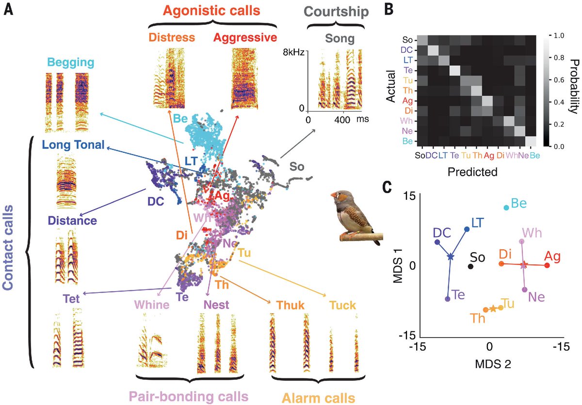Science Magazine tweet media