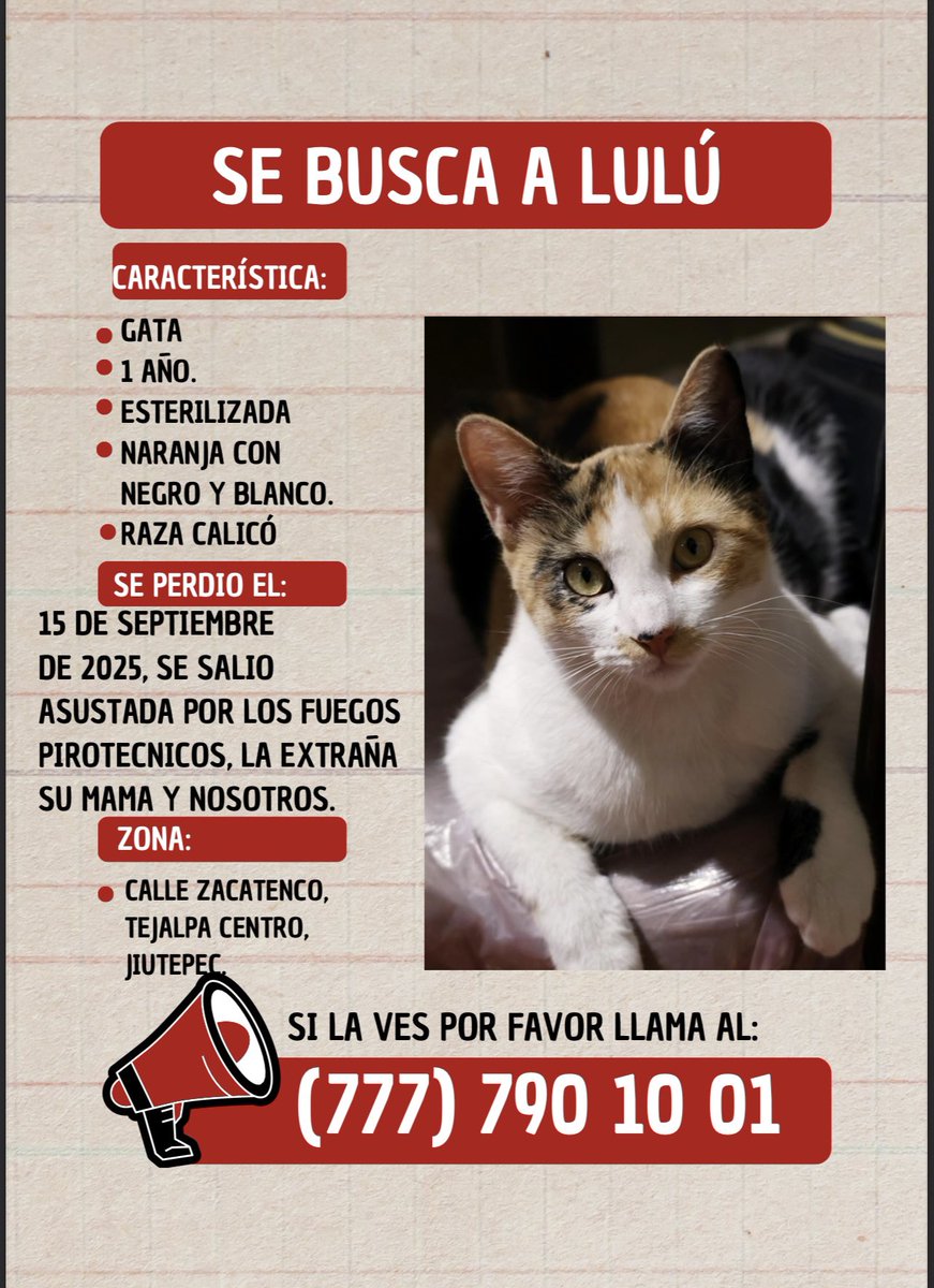 #Ayuda
Lulú sigue perdida y su mamá está muy triste.
Ayúdennos a que regrese
Se salió asustada el lunes por los fuegos pirotécnicos, no ha regresado desde entonces. 
¿Alguien la ha visto? Se perdió en calle Zacatenco, #Tejalpa centro. 
Es gatita calicó de 1 año, esterilizada.