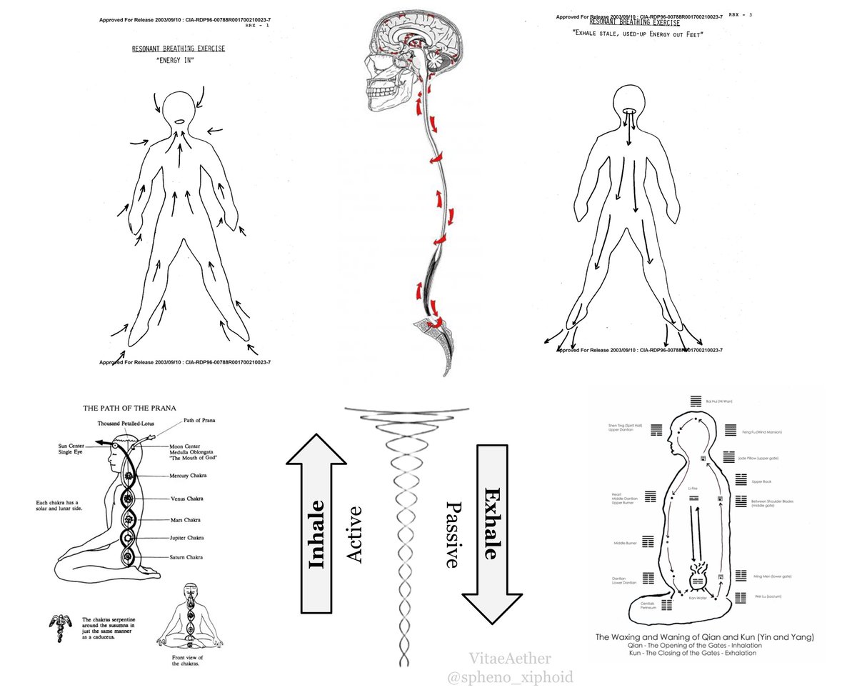 Esoteric breathing techniques aren’t magic, they are just ways to work with your own physiology.

Breathe up to your skull pulling CSF to your brain; relax as you exhale and let it trickle back down through your feet. 

This can be thought of as a swirling vortex of water/energy.