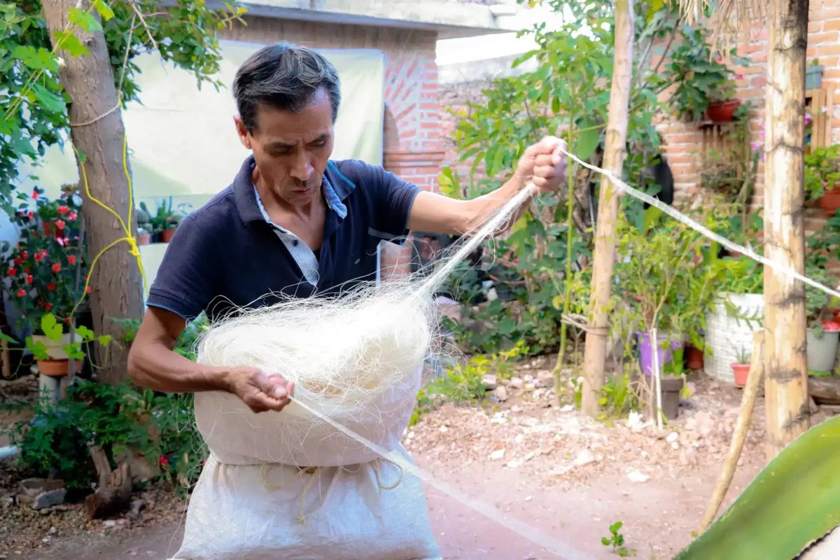 ➡️ Regresará en 2026, la Feria del Ixtle y del Nopal a Ezequiel Montes

Iván Reséndiz Ramírez, presidente de #EzequielMontes   informó que en 2026 se retomará la tradicional Feria del Ixtle y del Nopal, luego de haberse suspendido 6 años atrás

presenciauniversitariauaq.com/?p=74534