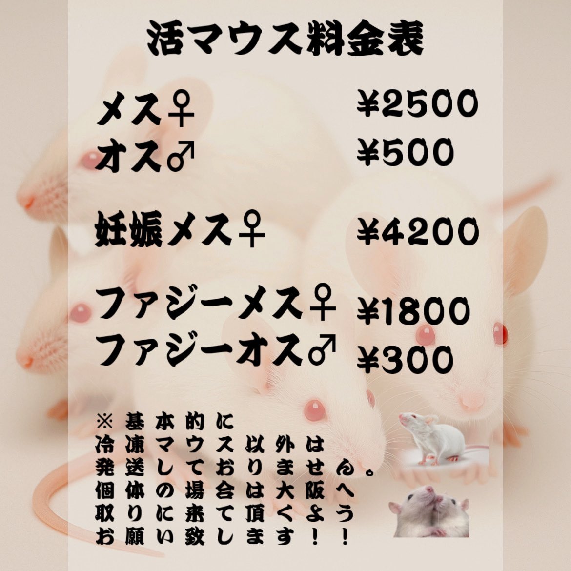 新しい料金表です！！
受け付けてます💚
#冷凍マウス
#爬虫類
#爬虫類エサ
#大阪