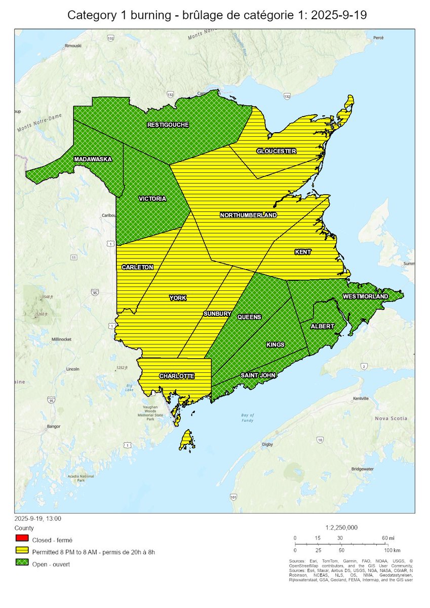 NB Forest Fires tweet media