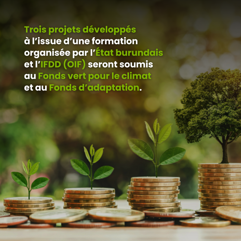 OIFrancophonie's tweet photo. Pour renforcer ses chances d’accéder aux financements climatiques, le #Burundi a formé des acteurs nationaux à la conception de projets. Avec le soutien de la #Francophonie, trois initiatives sont prêtes à être soumises à des fonds pour le #climat.

🔗 https://t.co/65HwxTmfHo