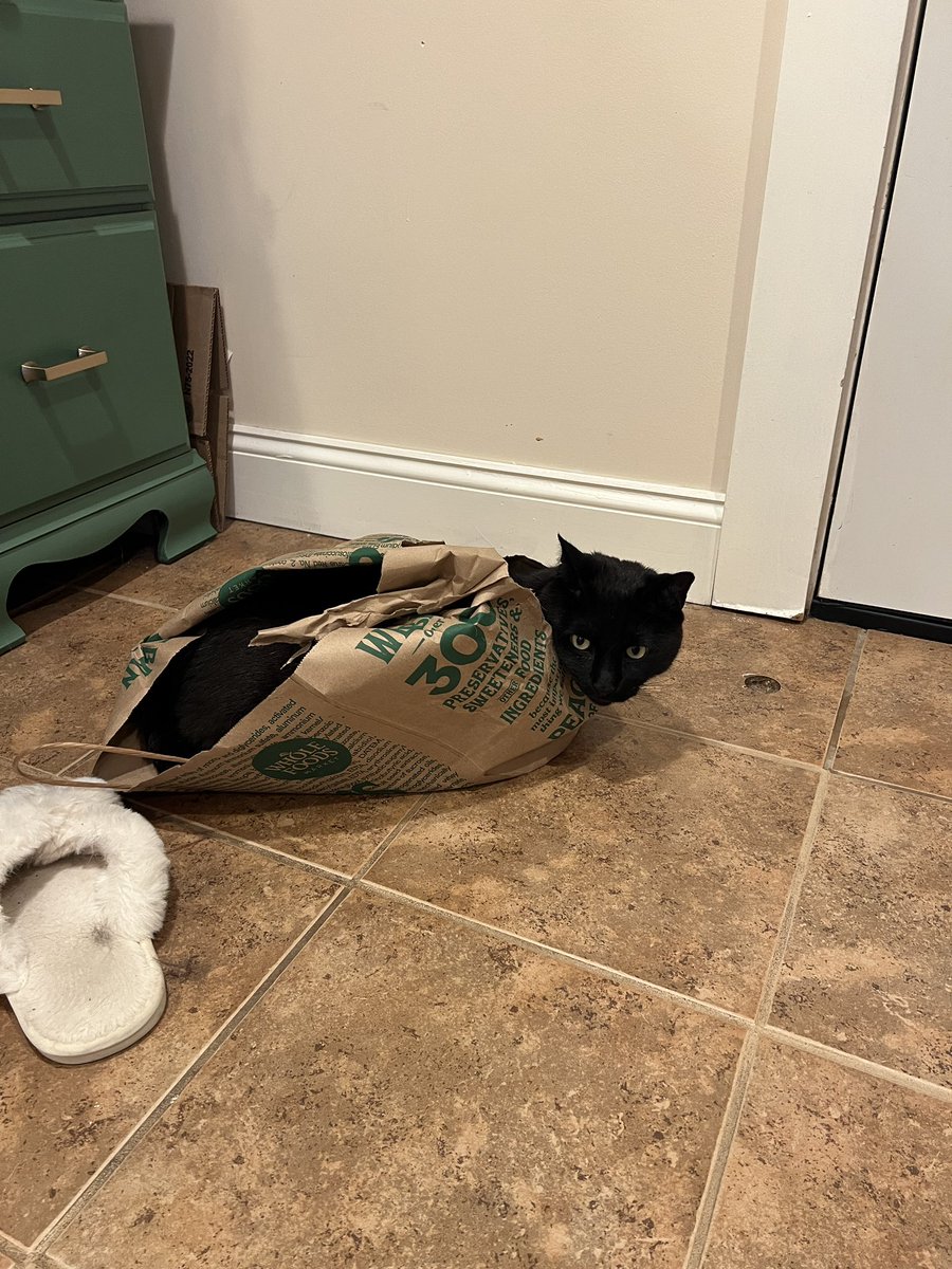 JinxAndOldMen's tweet photo. i love bags <3  i am an all natural whole food! https://t.co/nFu3DzFYz4