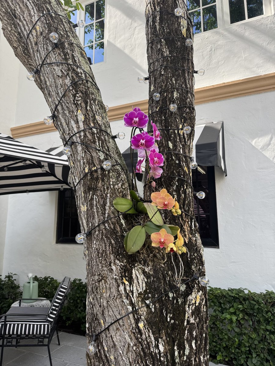 “Serin bir rüyanın hatırınadır / Çektiğim dünya ağrısı” Birhan Keskin