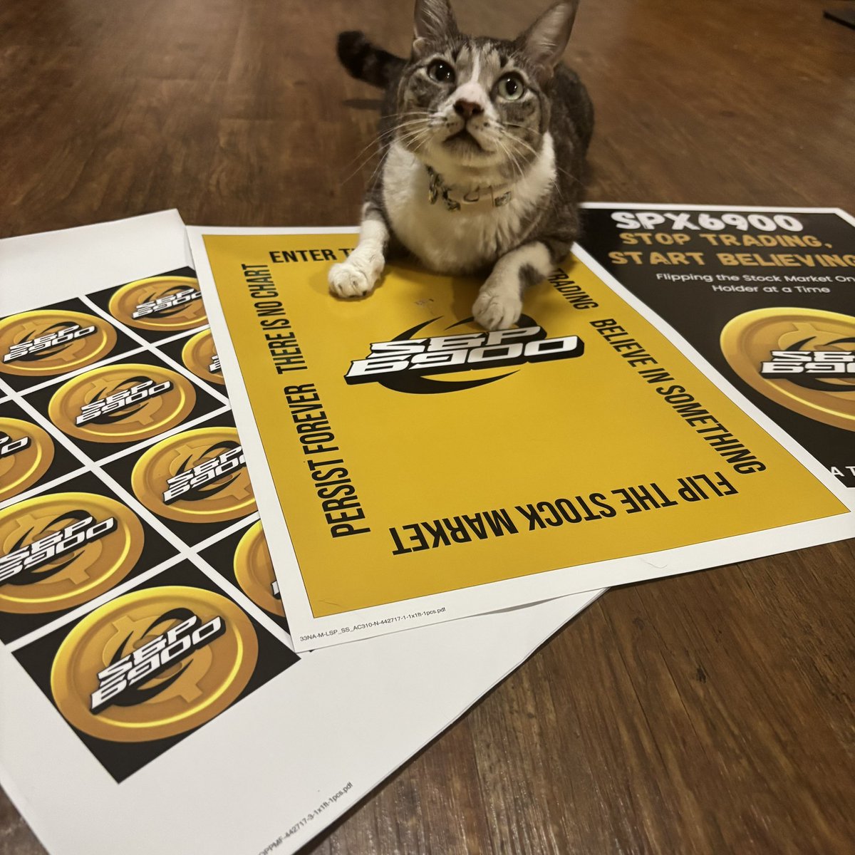 Spxcat.sol💹🧲 ⁶⁹⁰⁰ tweet media