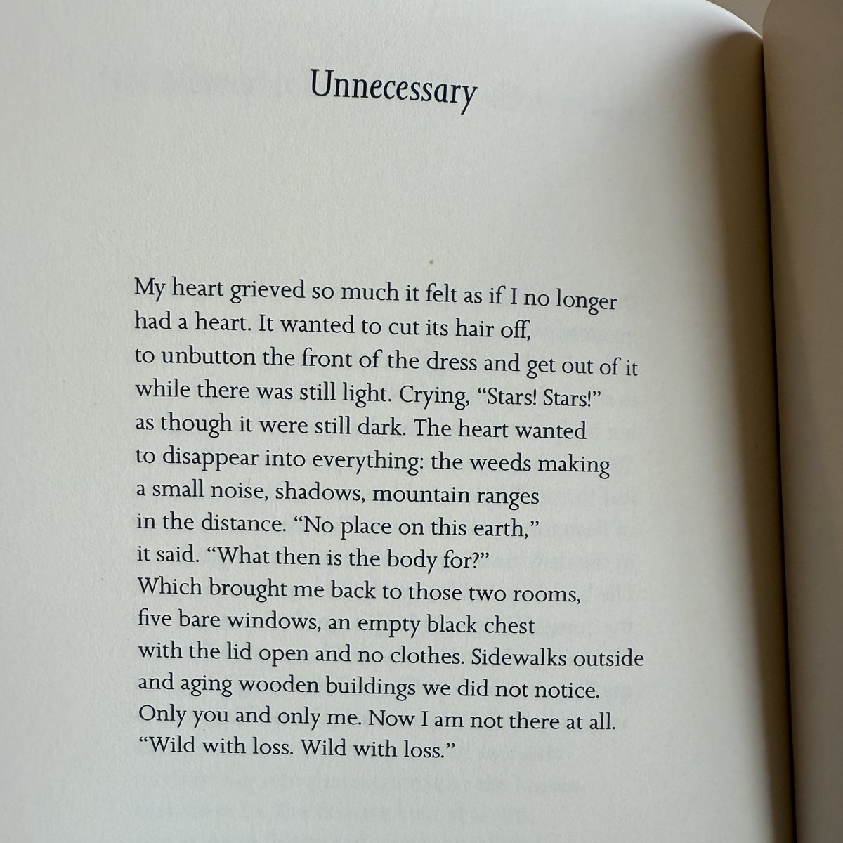 Chosen by the Lion, Linda Gregg