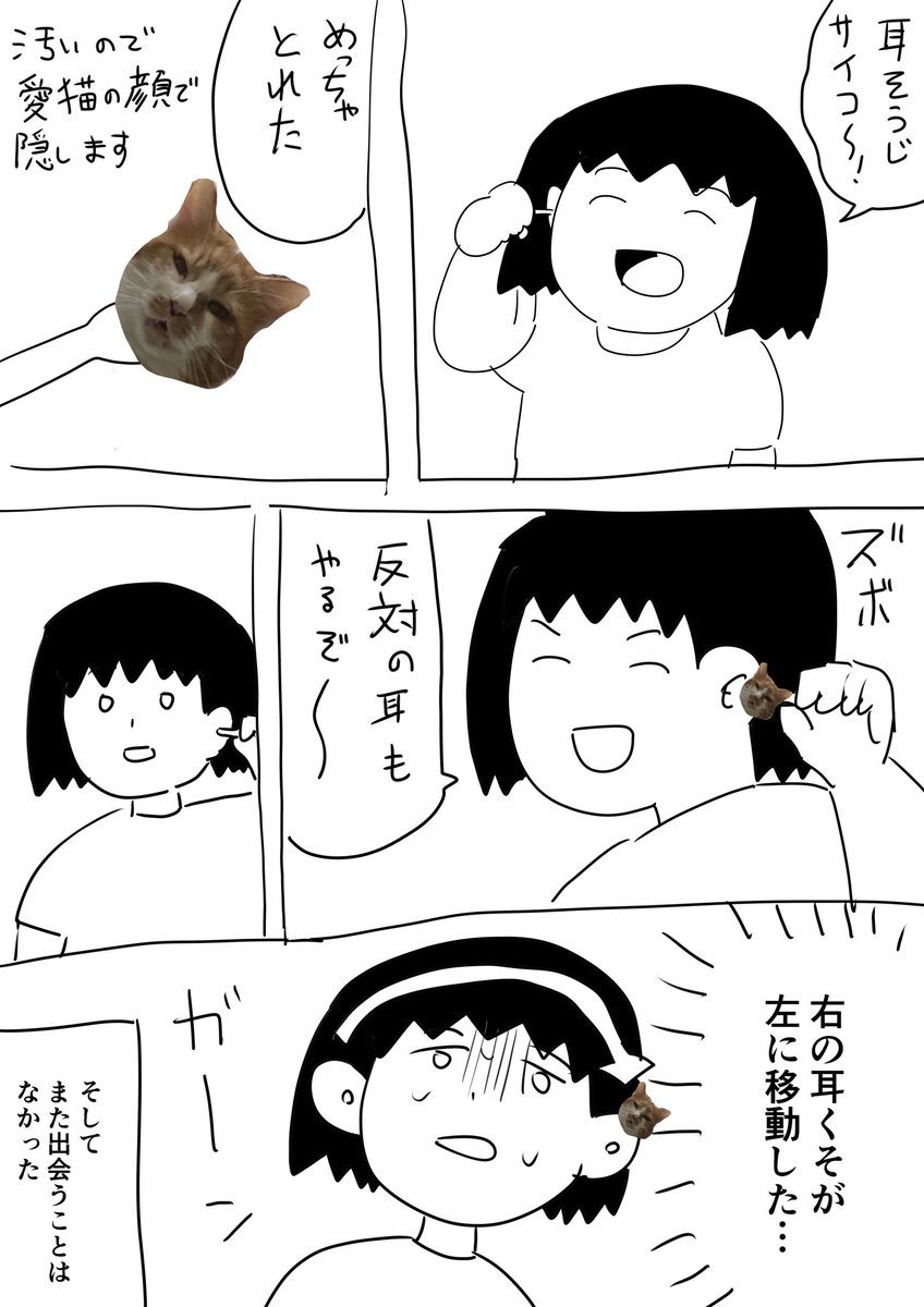 #逆襲の日記
耳掃除 