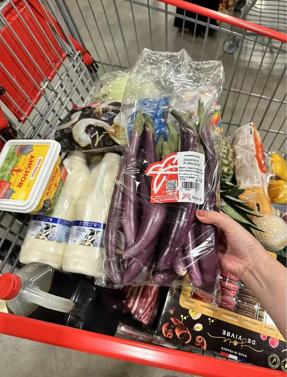 LadyOD799's tweet photo. Adulting level: making a real dinner 🍽️
Ingredients:
🥩 Something meaty
🥦 Something green
🍝 Something carb-y
🍷 Something to sip on
Bonus: dessert if you didn’t burn the kitchen 😅 https://t.co/3cOQ05yBMS