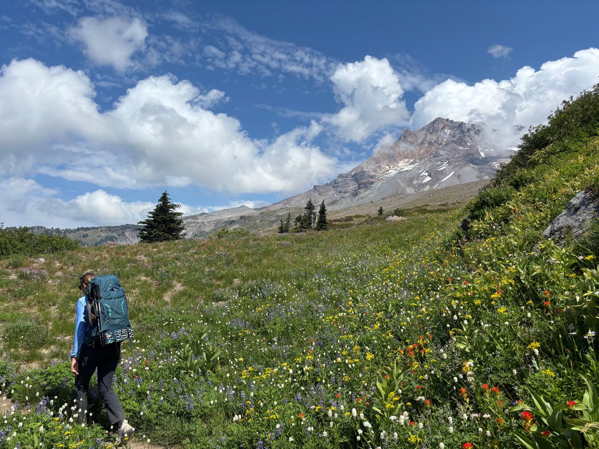 It’s one of Oregon’s most iconic backpacking trips — 40 miles around Mount Hood on the Timberline Trail. Our outdoors intern Rose Shimberg circumnavigated the volcano and came back with reporting on how to make a trip happen: 
Story/video: tinyurl.com/5554j3t2