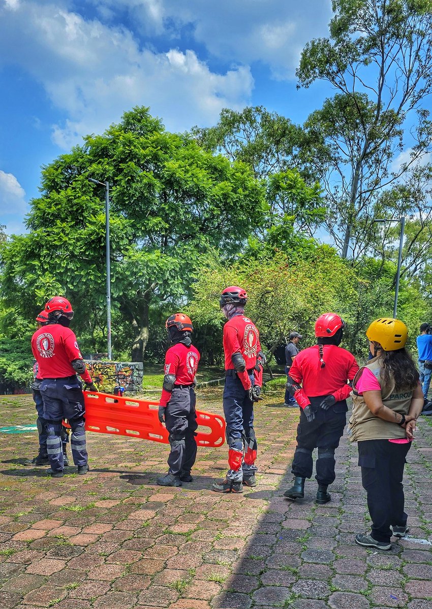 Topos® México tweet media