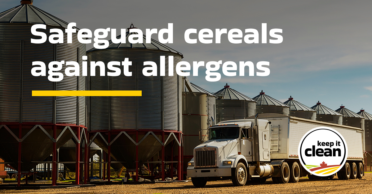 Sask Wheat (@saskwheat) on Twitter photo Allergenic grains don’t belong in cereals. Contaminated shipments can lead to costly rejections and loss of market confidence. Protect Canada’s reputation for clean, safe grain with Keep it Clean’s key strategies. Learn more 👉 bit.ly/4mGswVl 
#CdnAg #SustainableCdnAg Allergenic grains don’t belong in cereals. Contaminated shipments can lead to costly rejections and loss of market confidence. Protect Canada’s reputation for clean, safe grain with Keep it Clean’s key strategies. Learn more 👉 bit.ly/4mGswVl 
#CdnAg #SustainableCdnAg