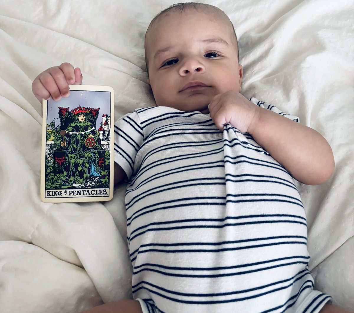 Sage says “I am a Taurus!” ♉️👑
#kingofpentacles #taurus #king