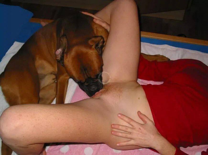KnottyE68720's tweet photo. A girl who loves to give pleasure to her dog 🥵
#zoophillia #zoosarevalid #beastiality #dogknot #zooprideisvalid #zoophile #hypnotistzoophilesarevalid #zoophiletwt #zootwt #zoopositivity #grope #Pardi #jjk242spoilers #NewYear
 #hypnotistzoophilesarevalid

https://t.co/ekv3pQqsSY https://t.co/FeWa4EWSkW