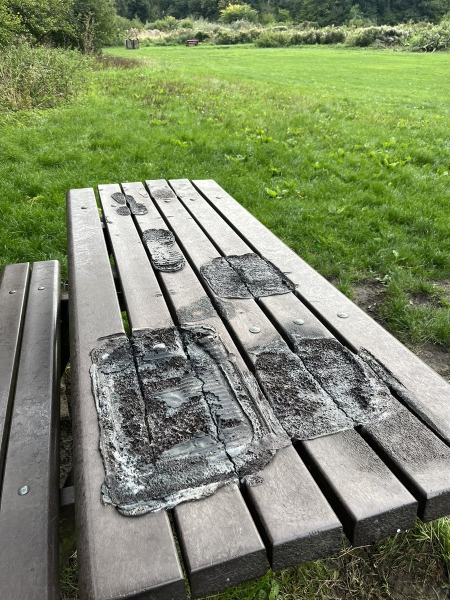 Michael Goode tweet media